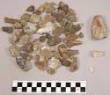 1 bone fragment; 37 piece quartz & quartz-like material; approx. 142 pieces ston
