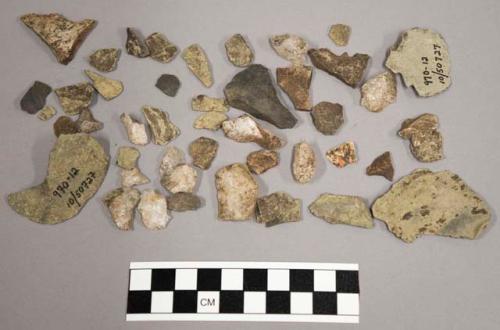 49 stone chips; 22 pieces quartz & quartz-like material; bone fragment; 3 frags