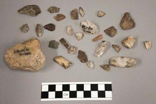 28 chips quartz & limestone; 28 chips stone; fragment bone-like material