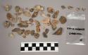 56 pieces stone; 4 bone frags; 1 charcoal fragment; 13 pieces quartz & quartz-li