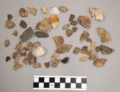 124 stone chips; 1 bone fragment; 25 pieces quartz and quartz-like material