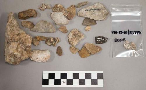 Approx. 218 pieces stone; 51 pieces quartz and quartz-like material; 6 bone frag