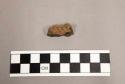 1 decorated earthenware body sherd