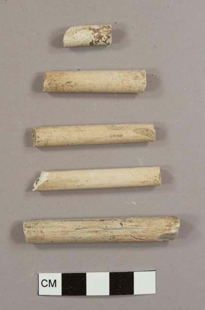 Kaolin/White ball clay pipe stem fragments with varying diameters (four with 5/64th-bore holes and one with a 6/64th-inch bore hole)