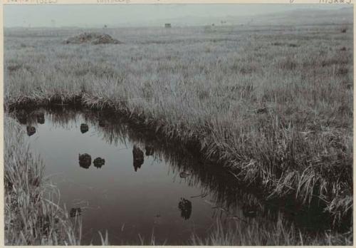 Excavation filled with water, showing piles