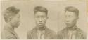 Studio Portrait of a man, three views