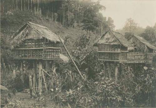 Rice granaries