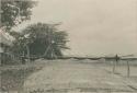 Seine drying