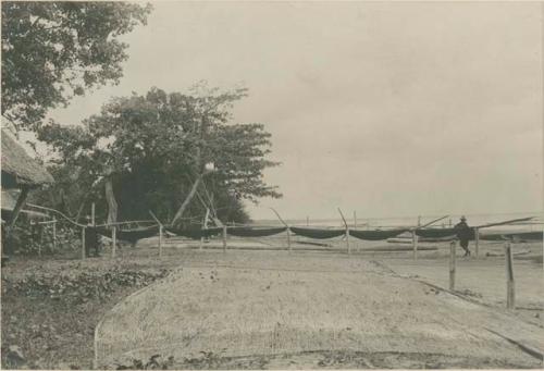 Seine drying