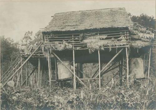 House with rice granaries underneath