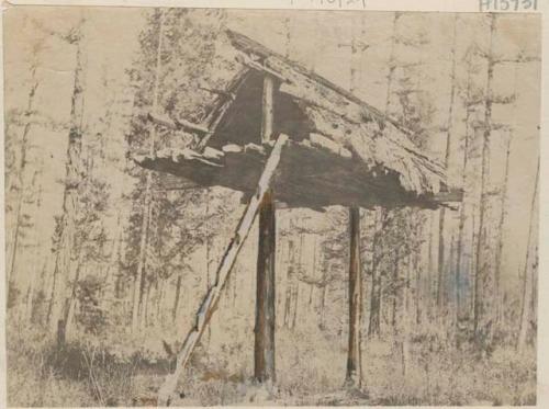 Tungus grave in the forest