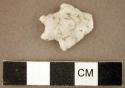 Chipped stone, projectile point, stemmed, bifurcated base