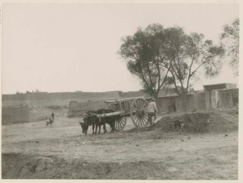 Farm cart pulled by oxen with farmer and dog