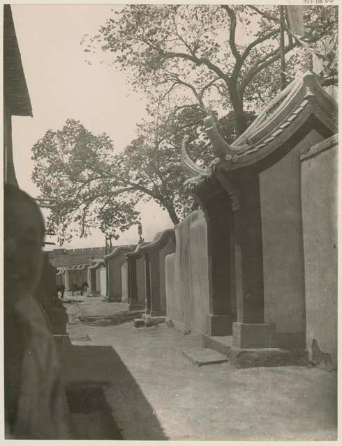 Street where the upper class live with person half photographed in left corner