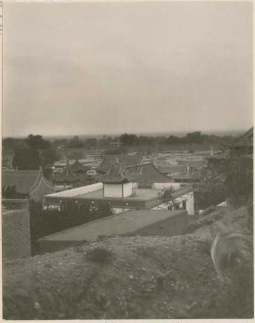 View of roofs of the palace of the King of Alashan