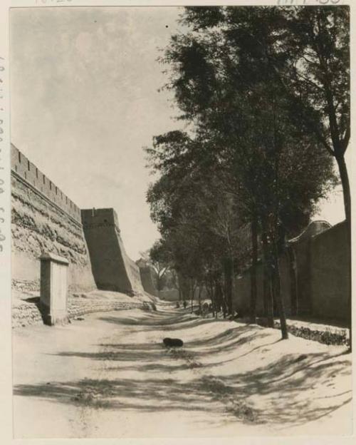 Tree lined road outside the south wall, known at "East Wall Street"