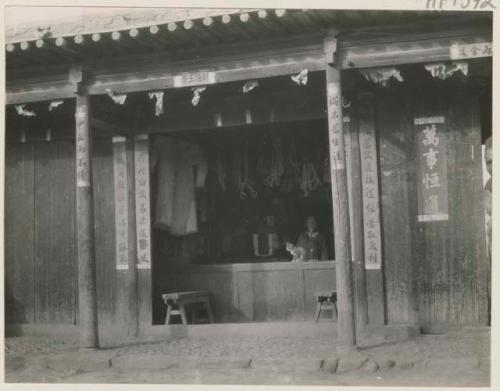 Person with cat inside general store on main street