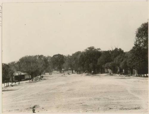 Avenue in front of regent's palace