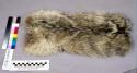 Wolf or coyote skin from cradle and equipment