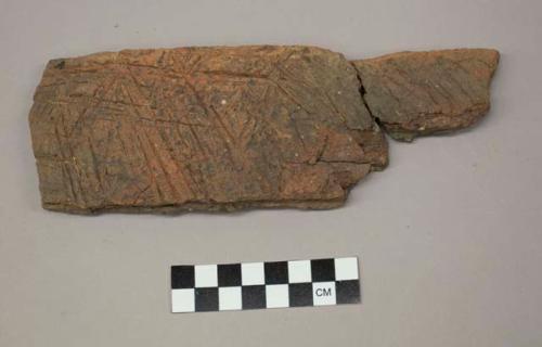 Refuge simple stamped rim sherd