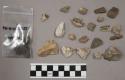 24 fragments quartz and limestone; 25 fragments stone; 1 fragment bone; fragment