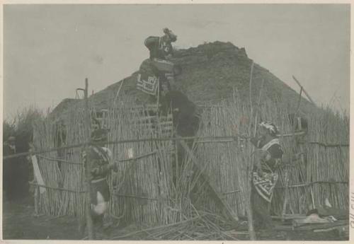 Three men remove bear from cage