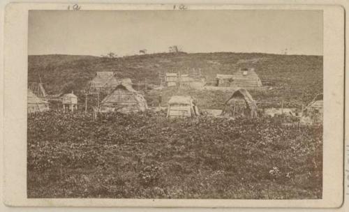 Village, with bear cages