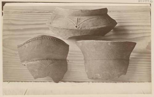 Pottery sherds from shell mound