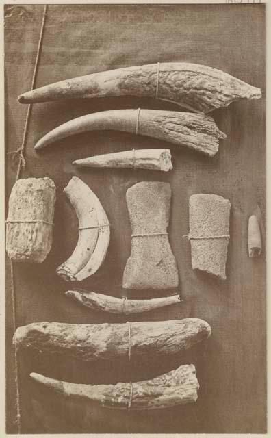 Bone implements from shell mound