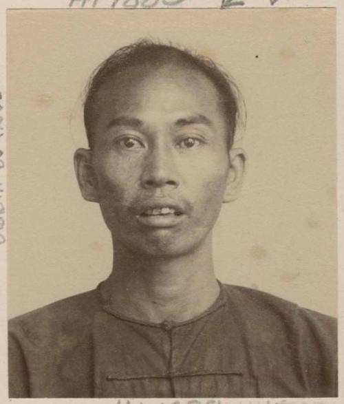 Studio portrait of man