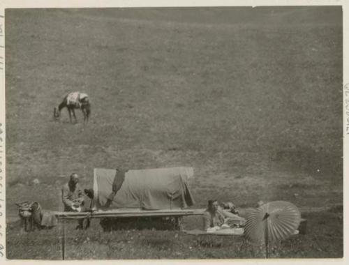 People resting with mule litter and umbrella in the grasslands