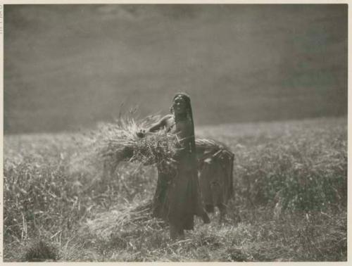 Women working in a field