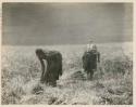 Women working in a field