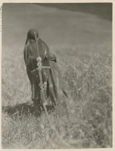 Women working in a field