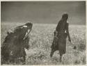 Women working in a field