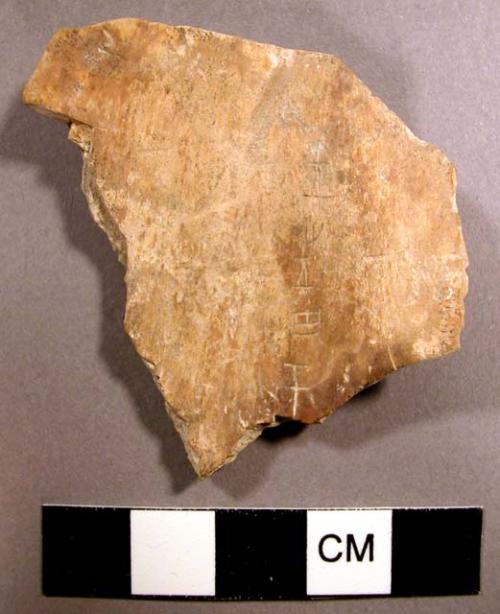 Fragmentary "oracle bones"