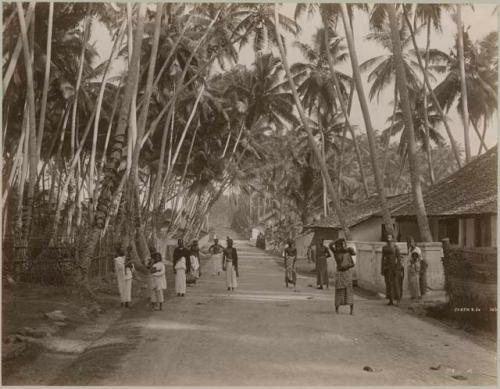 Road scene of people