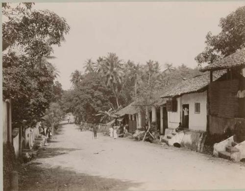 Road scene of people and houses