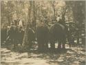 Men on elephants by a corral