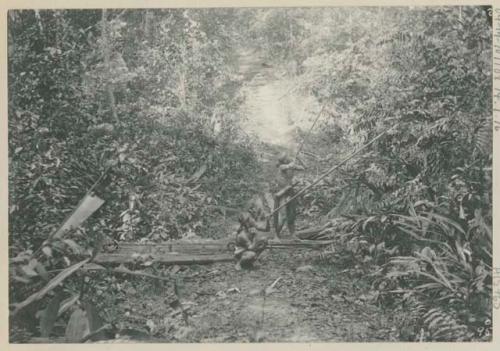 Two men hunting with sumpits in the jungle