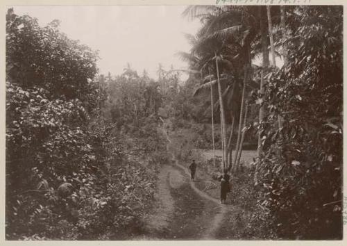 People on a path in the jungle with structure at the end