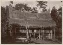 Longhouse in the process of being thatched