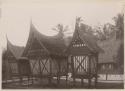 Thatched buildings on stilts with ornamental panels (longhouses)