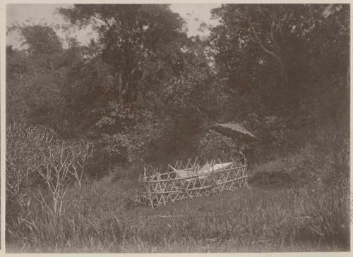 Hammock and umbrella