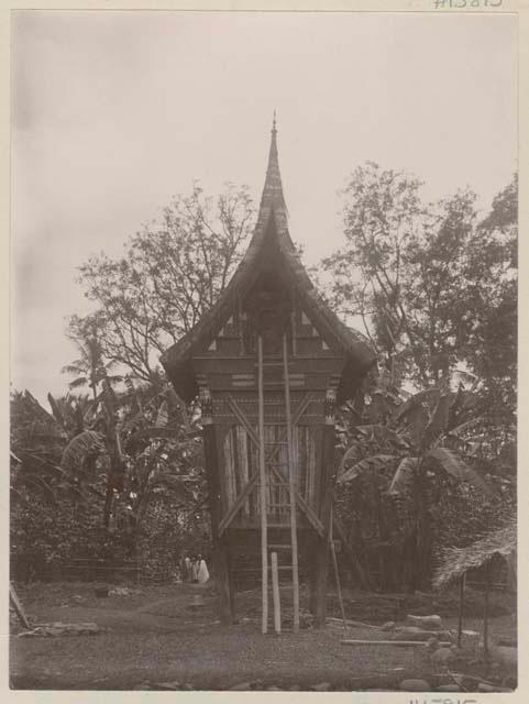 Small ornamented structure on stilts with a ladder leaning against it