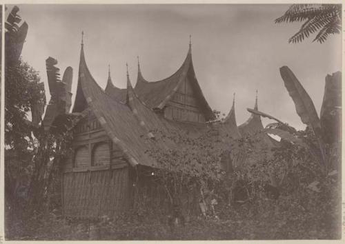 Thatched buildings with man visible in front