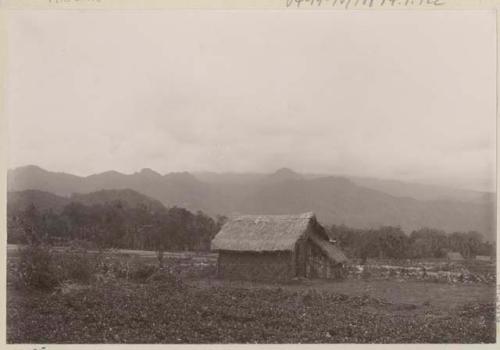 Thatched building in field with mountains in the background