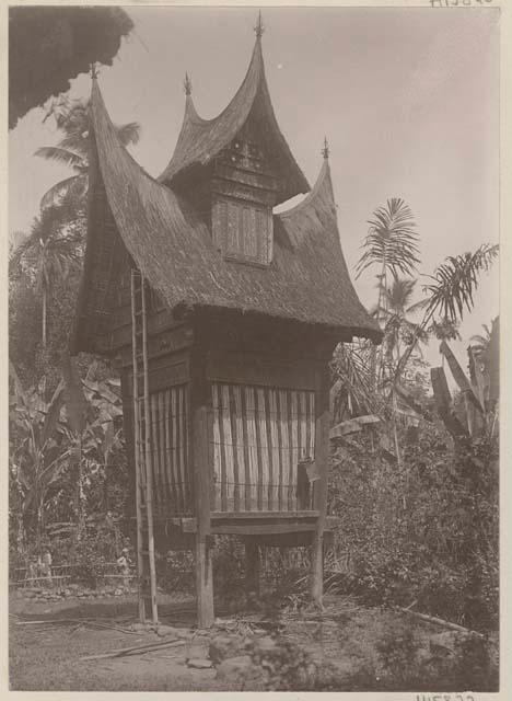 Small ornamented structure on stilts with a ladder leaning against it