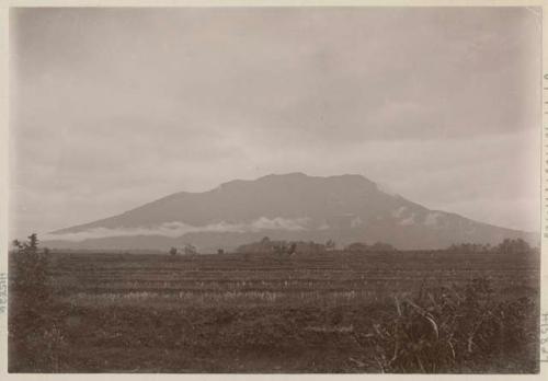 Merapi Volcano and rice fields