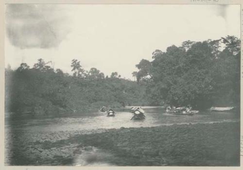 Peace party canoes in the river